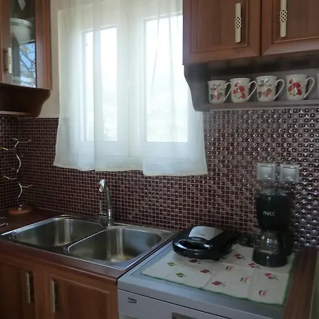 Apartment Nikita's House